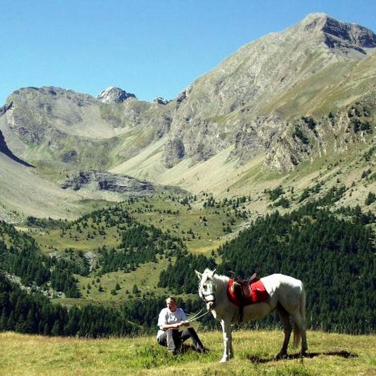 Maison CAILLE - Chalet - 39