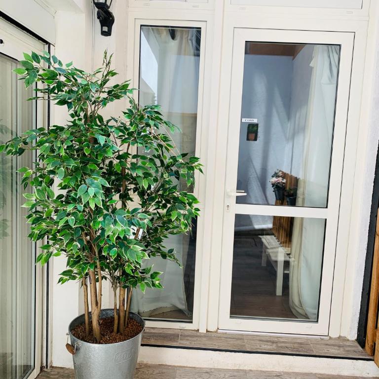 Cassis Studio - Appartement 1 Chambre - 8