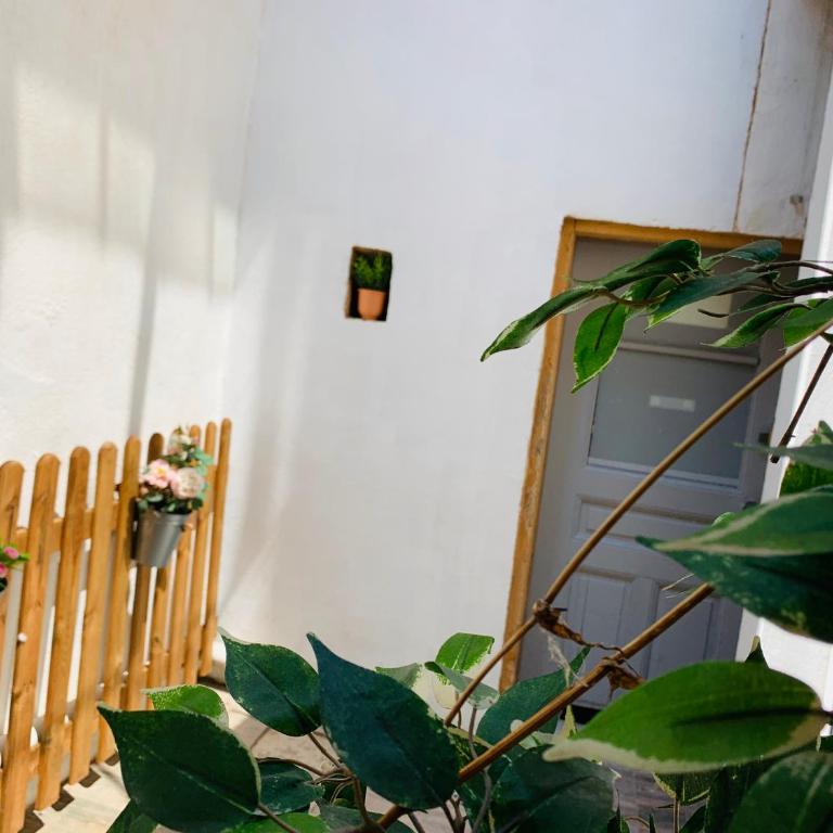 Cassis Studio - Appartement 1 Chambre - 22