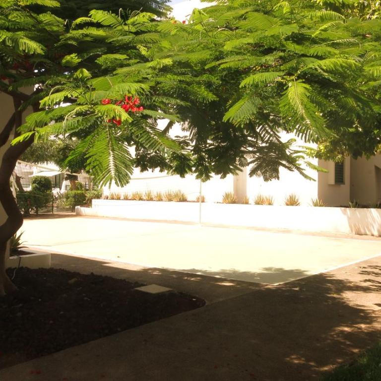 Holiday home close to golden mile - Apartamento de 1 dormitorio - 38
