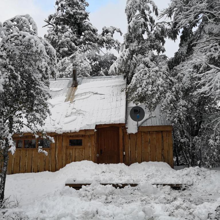 Lodge Palguin Alto - Superior Chalet - 10