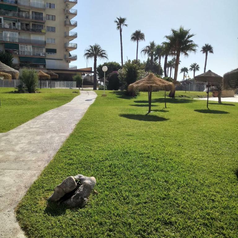 Los Maites 2- Estudio - Apartamento de 1 dormitorio - 19