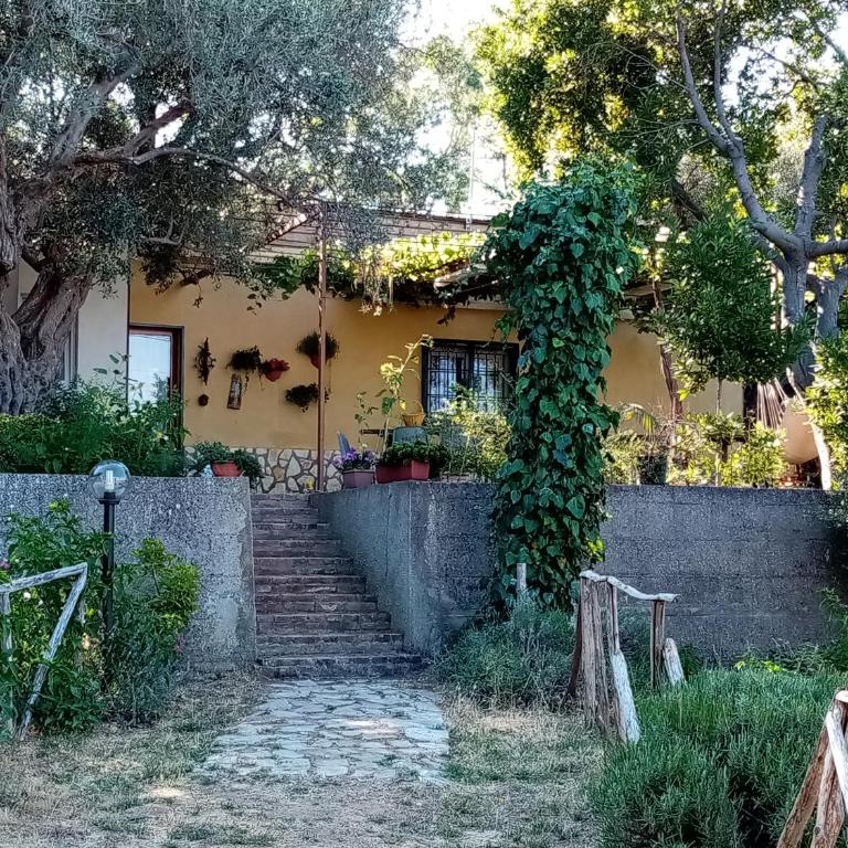 Locazione Turistica Casa in Campagna - Appartamento con 2 Camere da Letto - 12