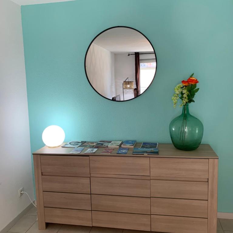 TOULOUSE premium appartement Parking Tramway Wifi Charmant - Appartamento con Balcone - 24