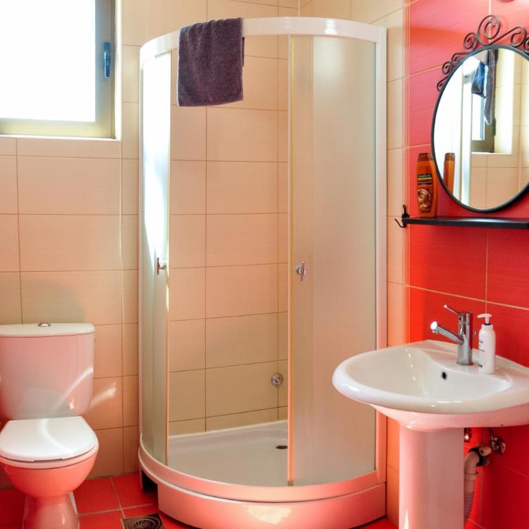 Apartments "New Village" - Deluks Dvokrevetna Soba sa Bračnim Krevetom i Tušem - 10