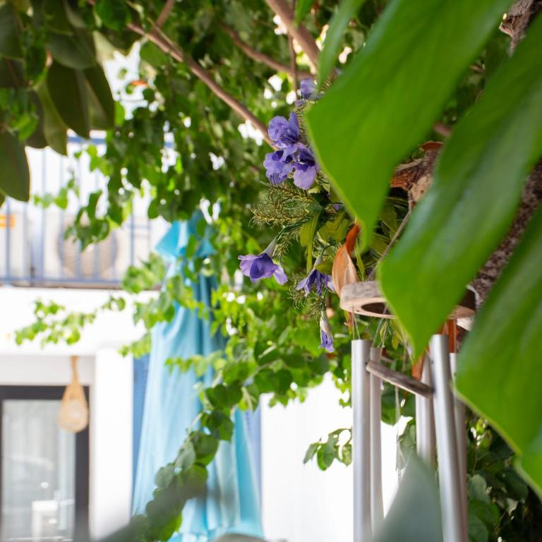 BluehousePortixol Mallorca - Casa - 62