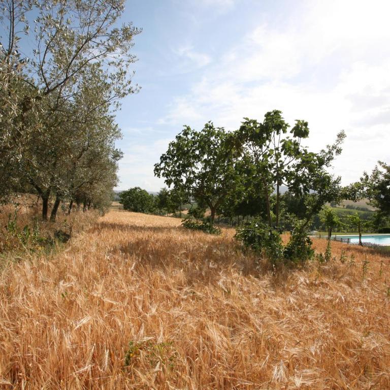 Tenuta Di Argiano A Montepulciano - Appartamento con 2 Camere da Letto - 14