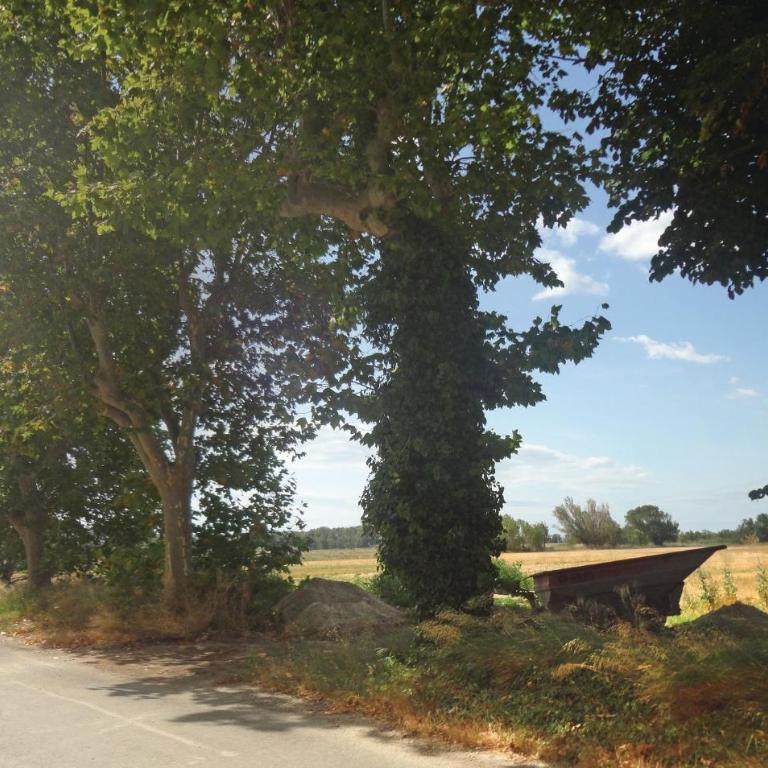 Pet Friendly Home In Narbonne With Sauna - Casa Vacanze con 2 Camere da Letto - 11