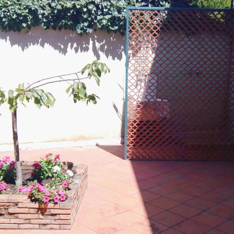 CASALE "GAIA"- Relax nel VERDE con Piscina Privata Esclusiva - Casa Vacanze - 35