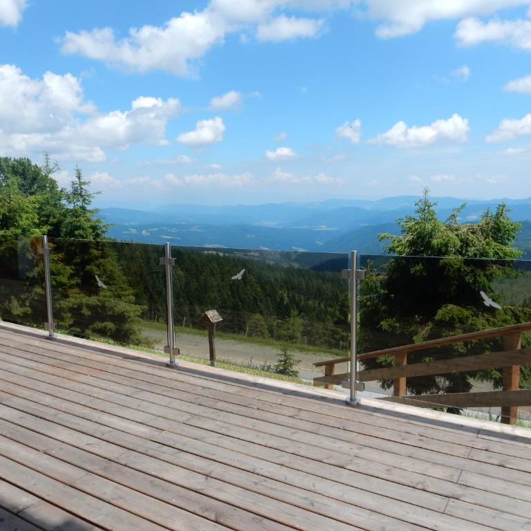 KRETZSCHMAR´S HÜTTE - Apartment mit Terrasse - 14
