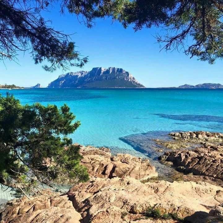 VILLA A 200 METRI DALLA SPIAGGIA - Casa Vacanze - 42