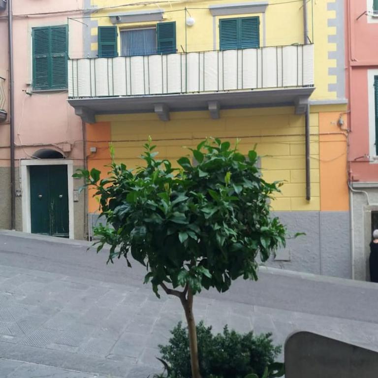 Ca'la Luna - in centro con terrazza - Apartment mit 1 Schlafzimmer - 36