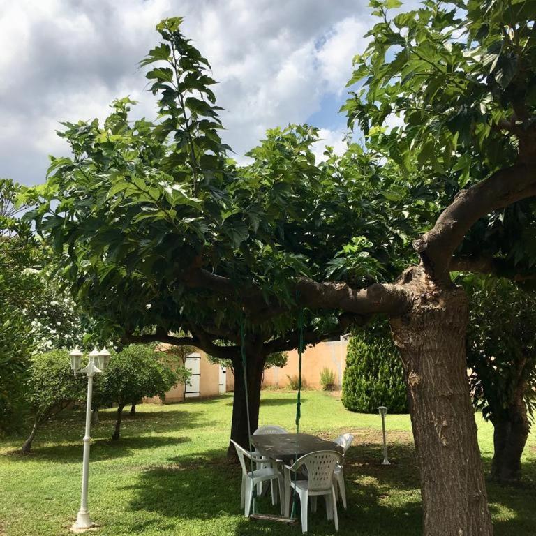 Sous Les Pins gîtes et chambres d'hôtes - Maison 3 Chambres - 15