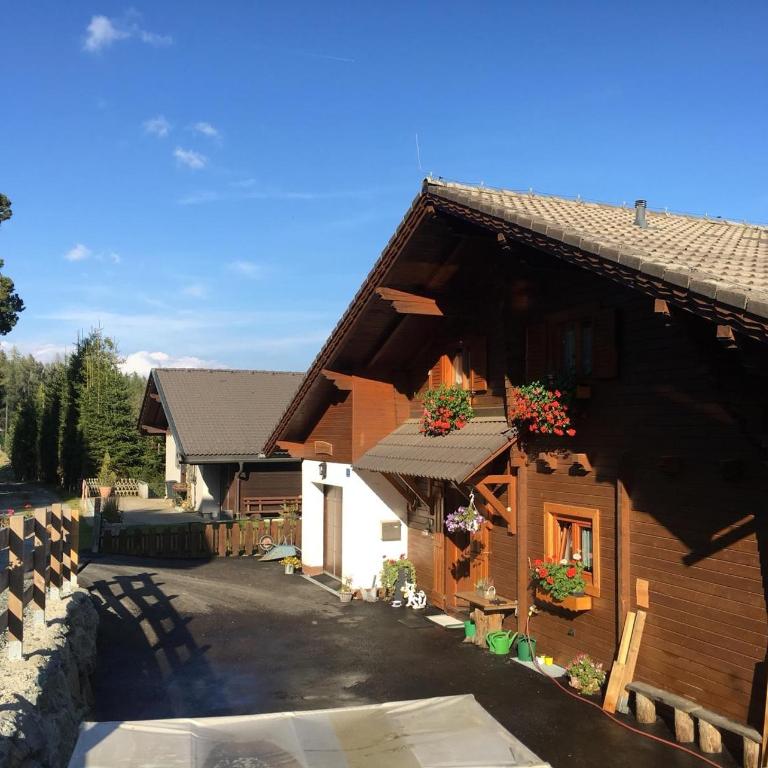 KRETZSCHMAR´S HÜTTE - Apartment mit Terrasse - 1