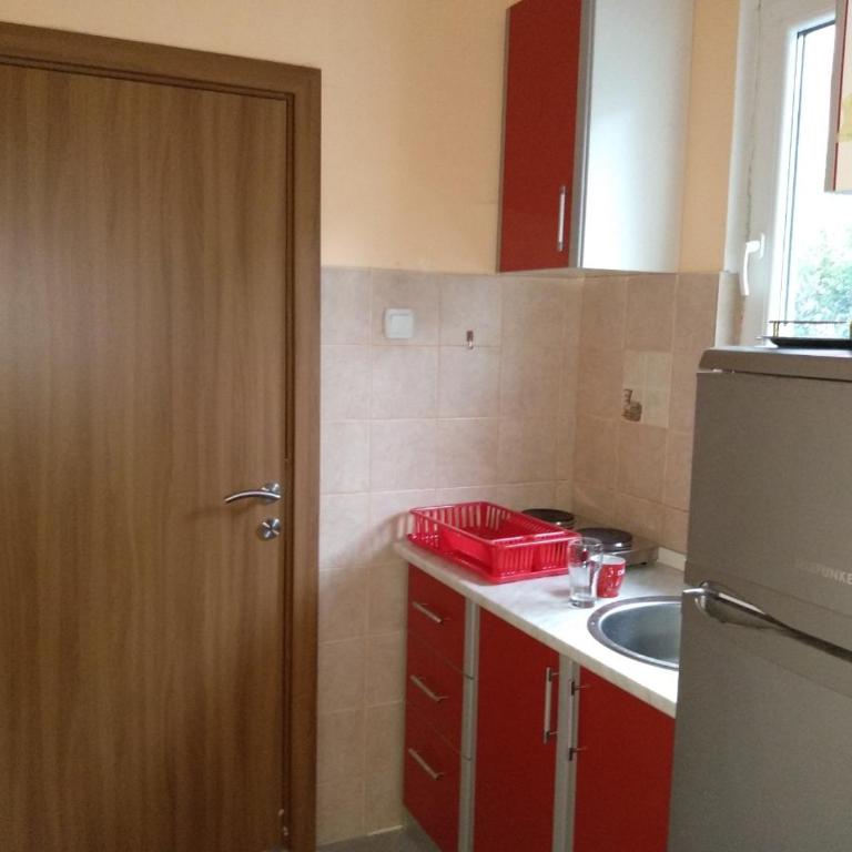 Pejovic Guest House - Apartman sa 1 Spavaćom Sobom - 6