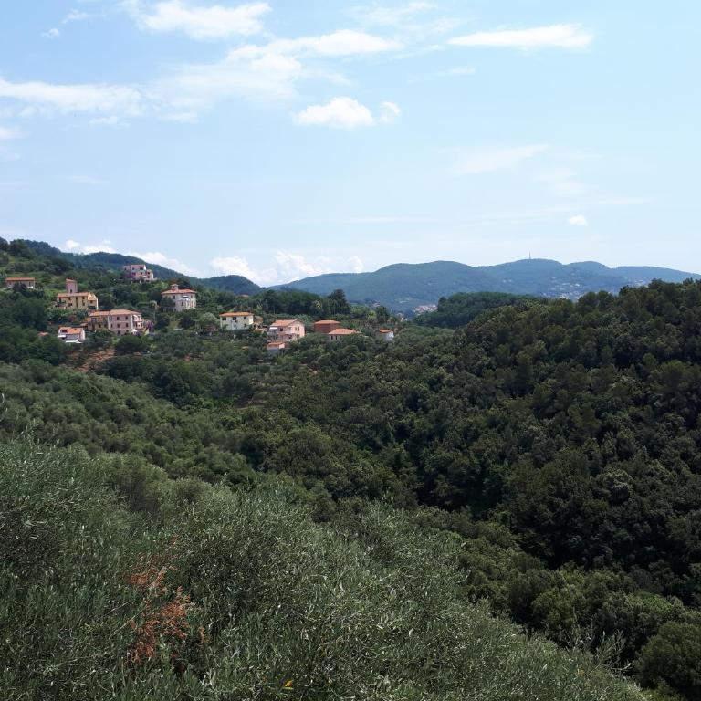 Casa vacanze P&G. Colline, mare, relax - Appartamento con 1 Camera da Letto - 9