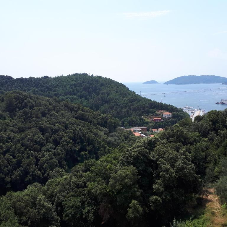 Casa vacanze P&G. Colline, mare, relax - Appartamento con 1 Camera da Letto - 8