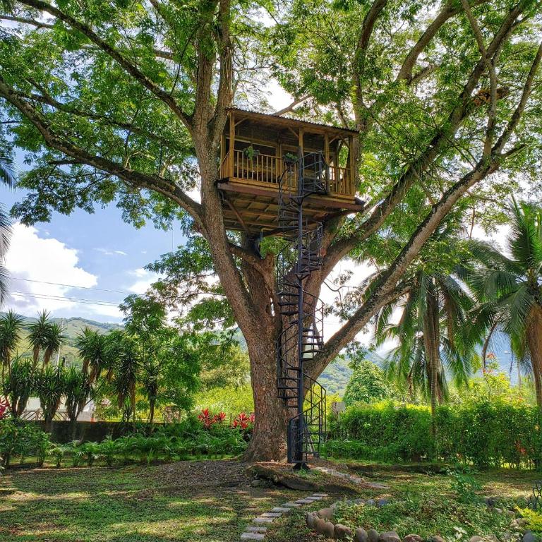 Casa en el Arbol - Casa con 1 dormitorio - 5