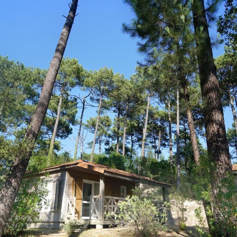 VVF Landes Moliets - Chalet 2 Chambres - 1