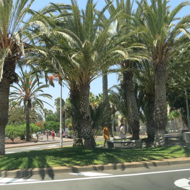 Tenerife with impressive pool 315 - Apartamento de 1 dormitorio - 5