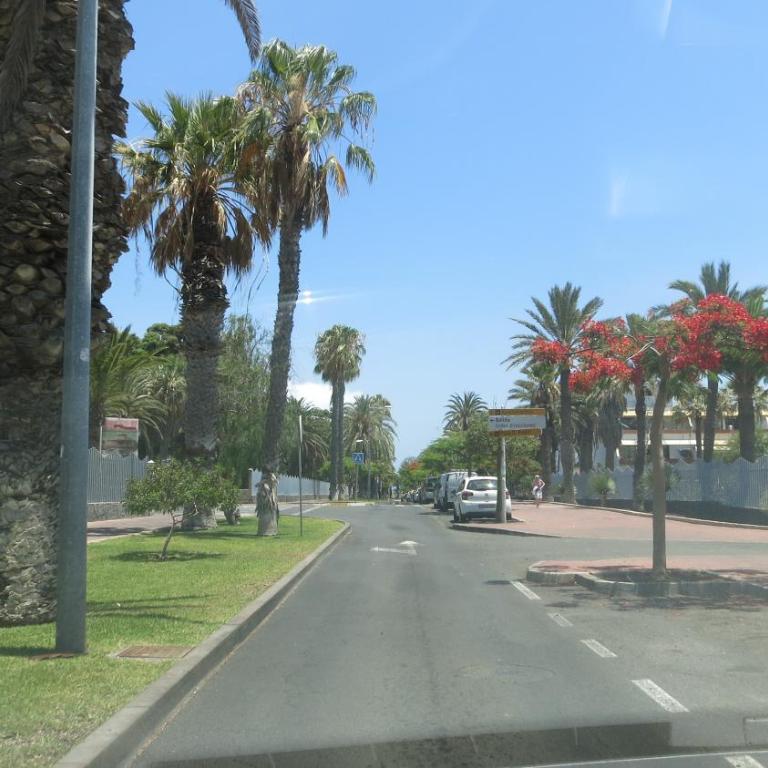 Tenerife with impressive pool 315 - Apartamento de 1 dormitorio - 26