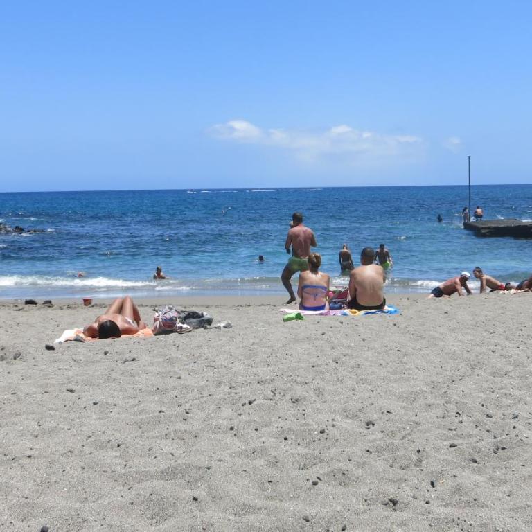 Tenerife with impressive pool 315 - Apartamento de 1 dormitorio - 4