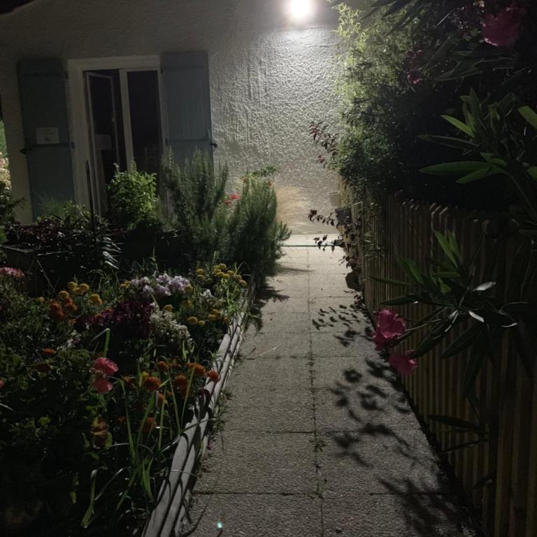 PETIT STUDIO de L'ERMITAGE - Studio - 34