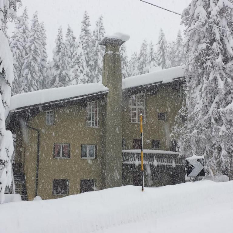 Tuckett Lodge - A large flat for families and groups of friends - Appartamento - 17