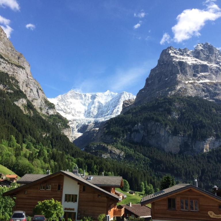 Luxury, new - amazing views Grindelwald Eiger Jungfrau Mönch - Three-Bedroom Apartment - 33