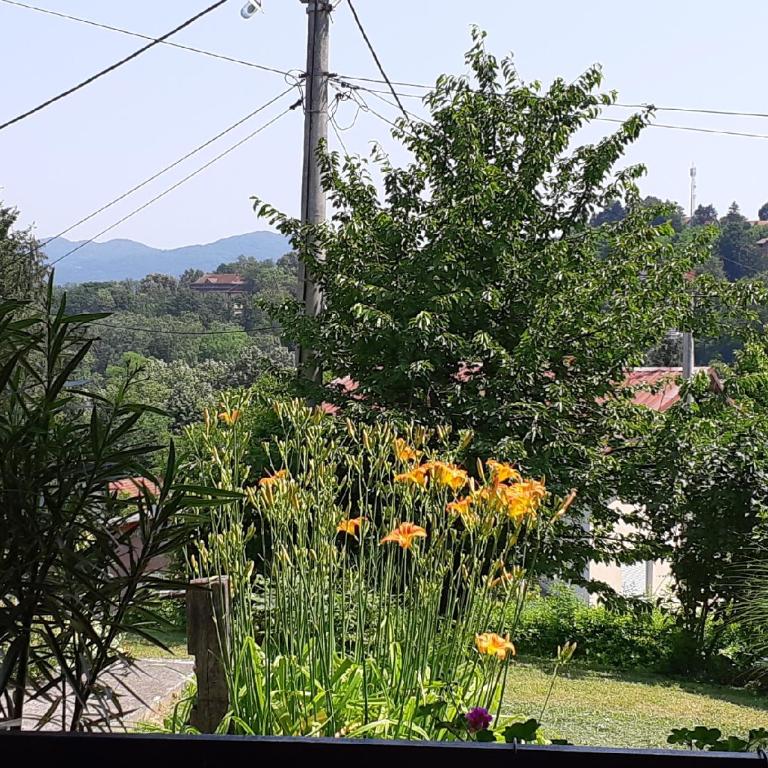 Apartman Kućica za odmor , Drašković - Apartman - 53