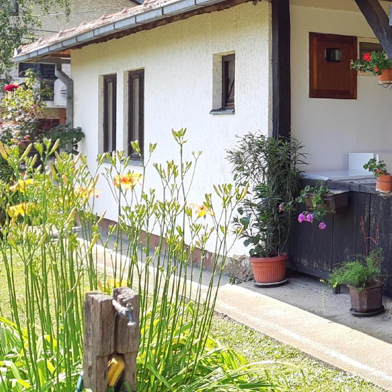 Apartman Kućica za odmor , Drašković - Apartman - 45