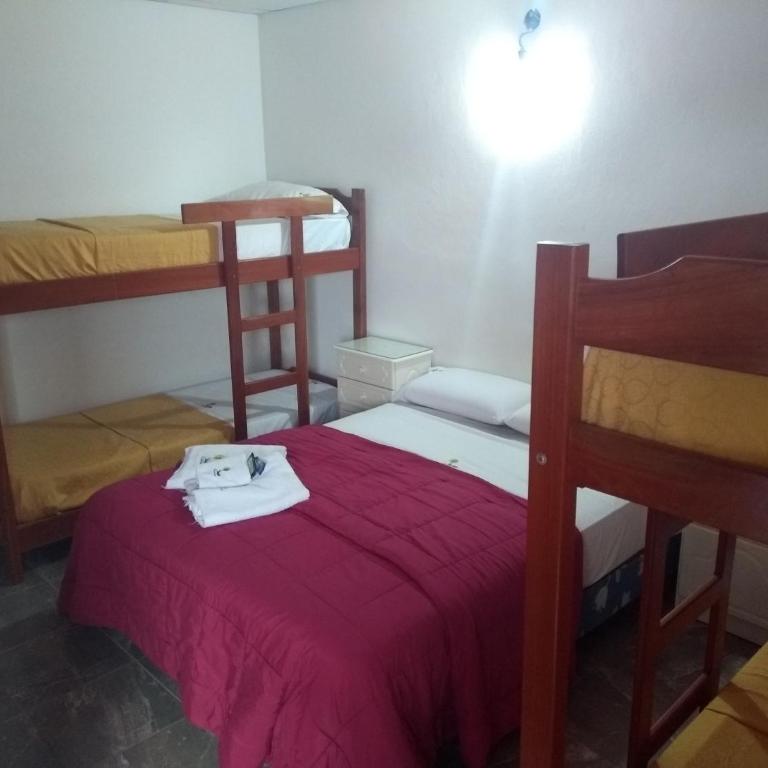 Hostería Niemanu - Family Room with Private Bathroom - 5