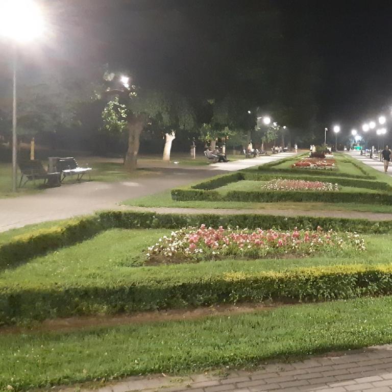 Apartman Kućica za odmor , Drašković - Apartman - 56