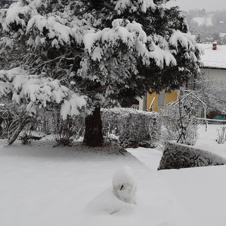 Apartman Kućica za odmor , Drašković - Apartman - 51