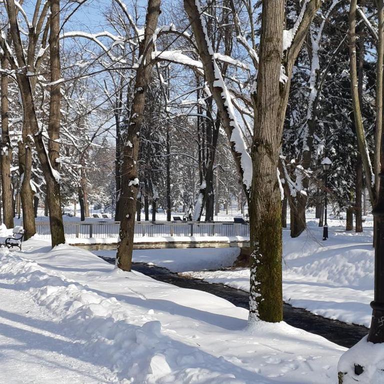 Apartman Kućica za odmor , Drašković - Apartman - 54