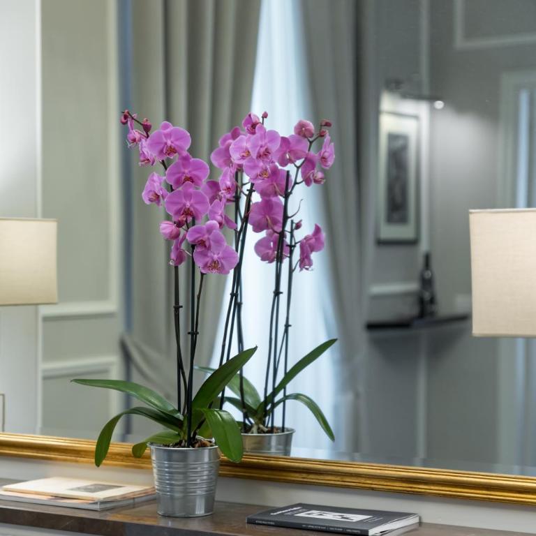 Florence Luxury Guest House - Suite - 10
