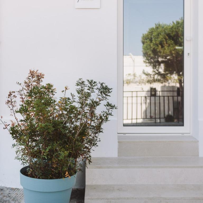 Yolk - Puglia Mia Apartments - Appartamento con Vista Mare - 8