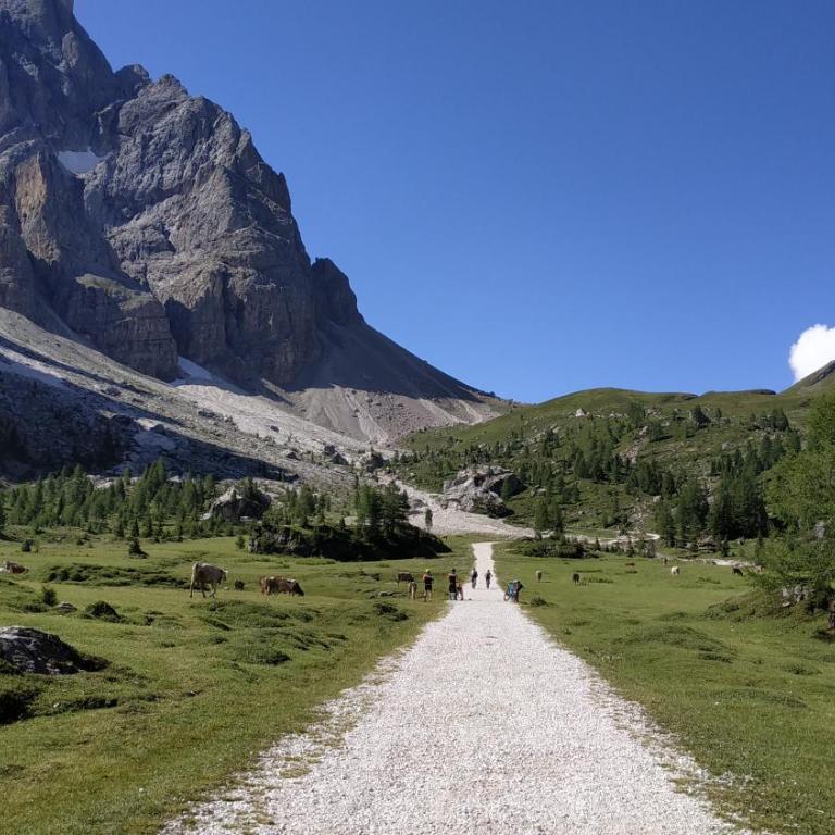 IL COVO DELLO SCIATORE - Appartamento Monolocale - 27