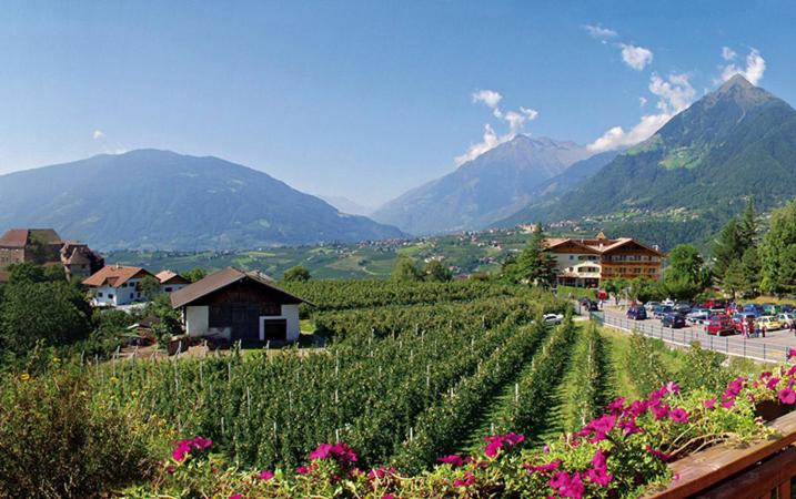 Ferienwohnungen Baumannsog - Appartamento con 2 Camere da Letto - 6
