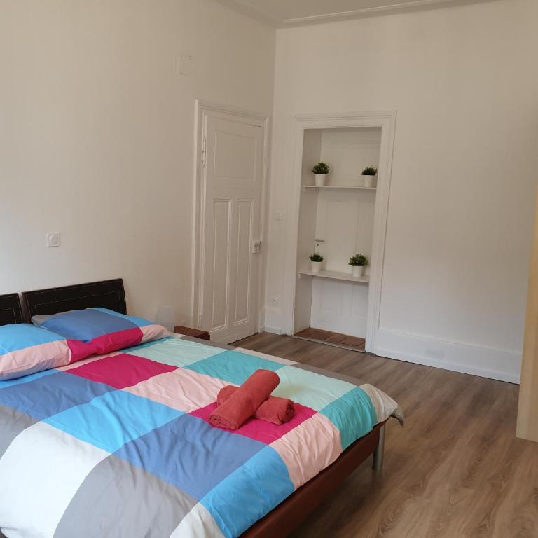 Grand appart confort - Hyper centre - Strasbnb - Appartamento - 20