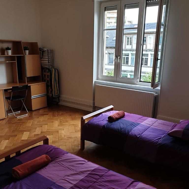 Grand appart confort - Hyper centre - Strasbnb - Appartamento - 22