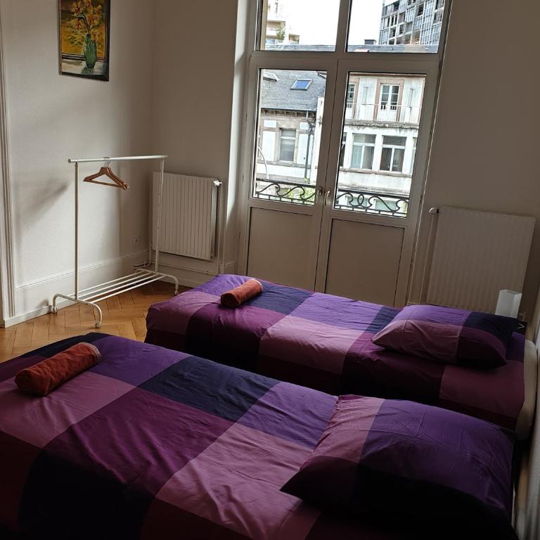 Grand appart confort - Hyper centre - Strasbnb - Appartamento - 24