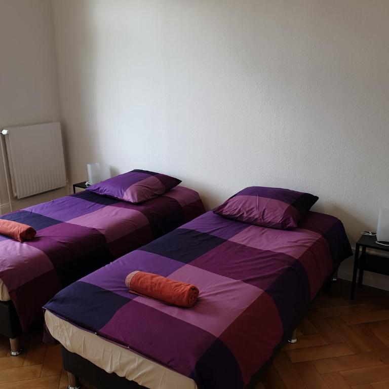 Grand appart confort - Hyper centre - Strasbnb - Appartamento - 25