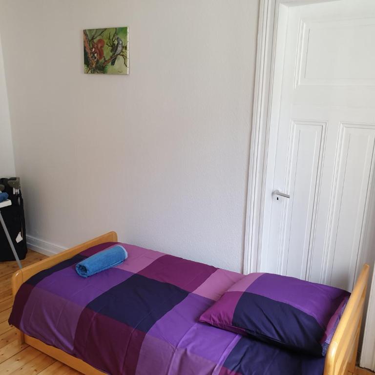 Grand appart confort - Hyper centre - Strasbnb - Appartamento - 27