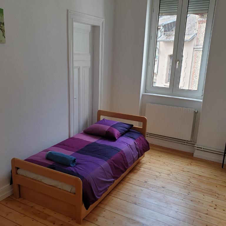 Grand appart confort - Hyper centre - Strasbnb - Appartamento - 28