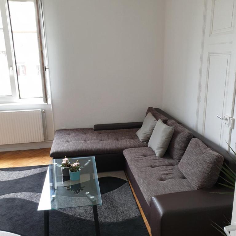 Grand appart confort - Hyper centre - Strasbnb - Appartamento - 5