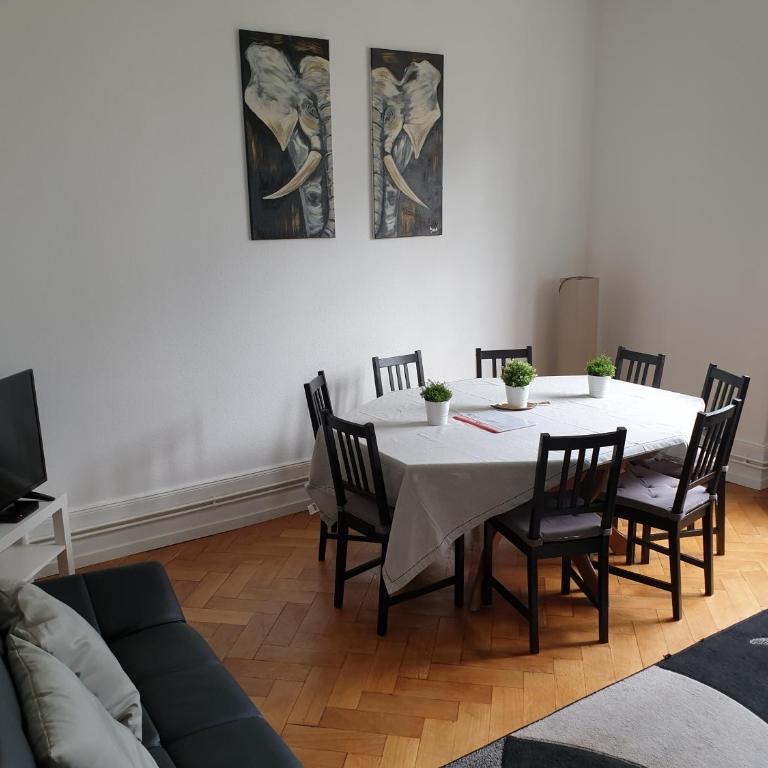 Grand appart confort - Hyper centre - Strasbnb - Appartamento - 6