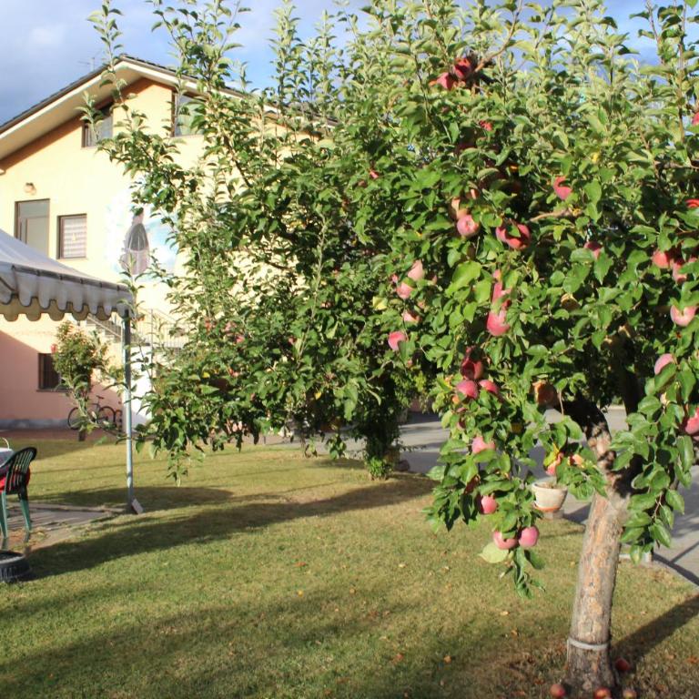 APPARTAMENTO quattro - CIR 0008 - Appartamento con Vista Giardino - 1