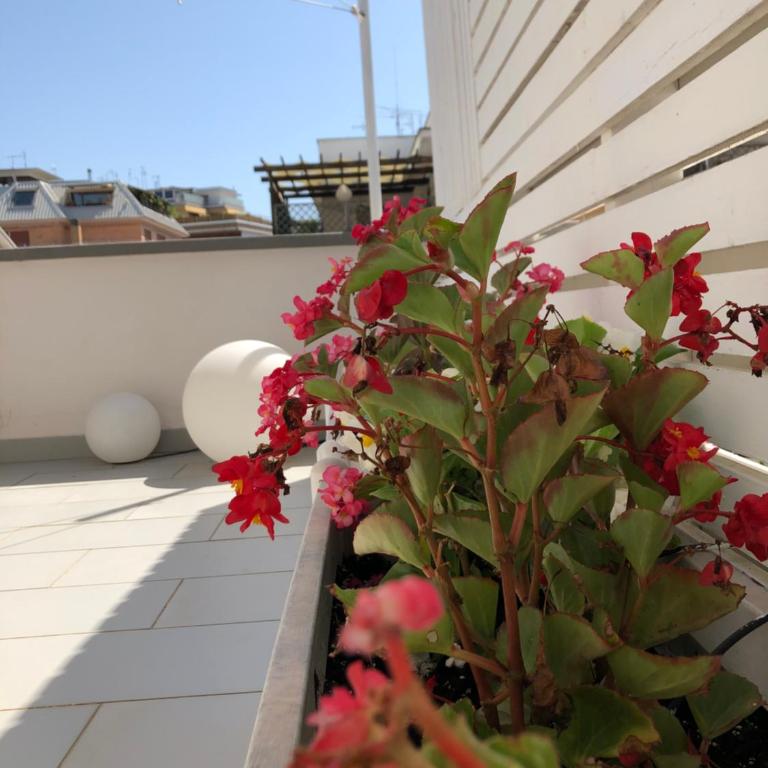 Glamroom Luxury Terrace - Camera Matrimoniale Deluxe con Terrazza - 37