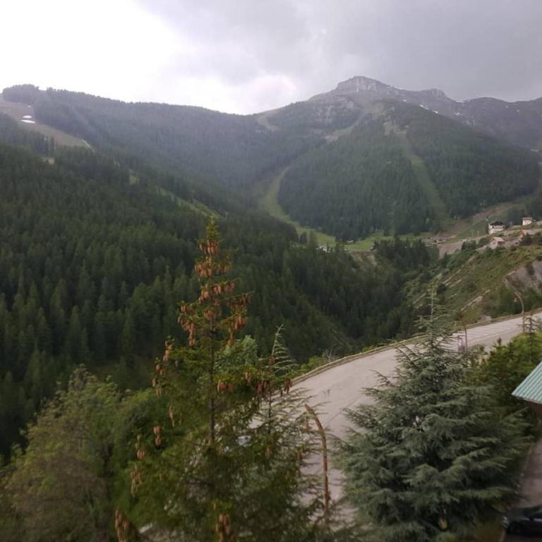 Studio Constellations d'Auron - Appartement 1 Chambre - 1